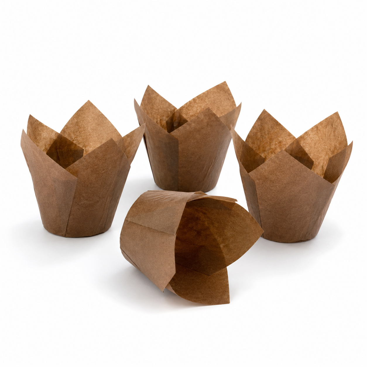 Tulip Baking Cups